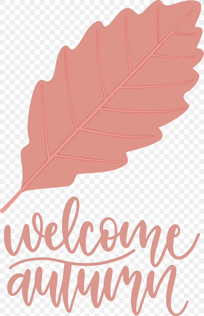 Leaf Flower Tree Meter Line, PNG, 1934x3000px, Welcome Autumn, Autumn, Biology, Flower, Geometry Download Free