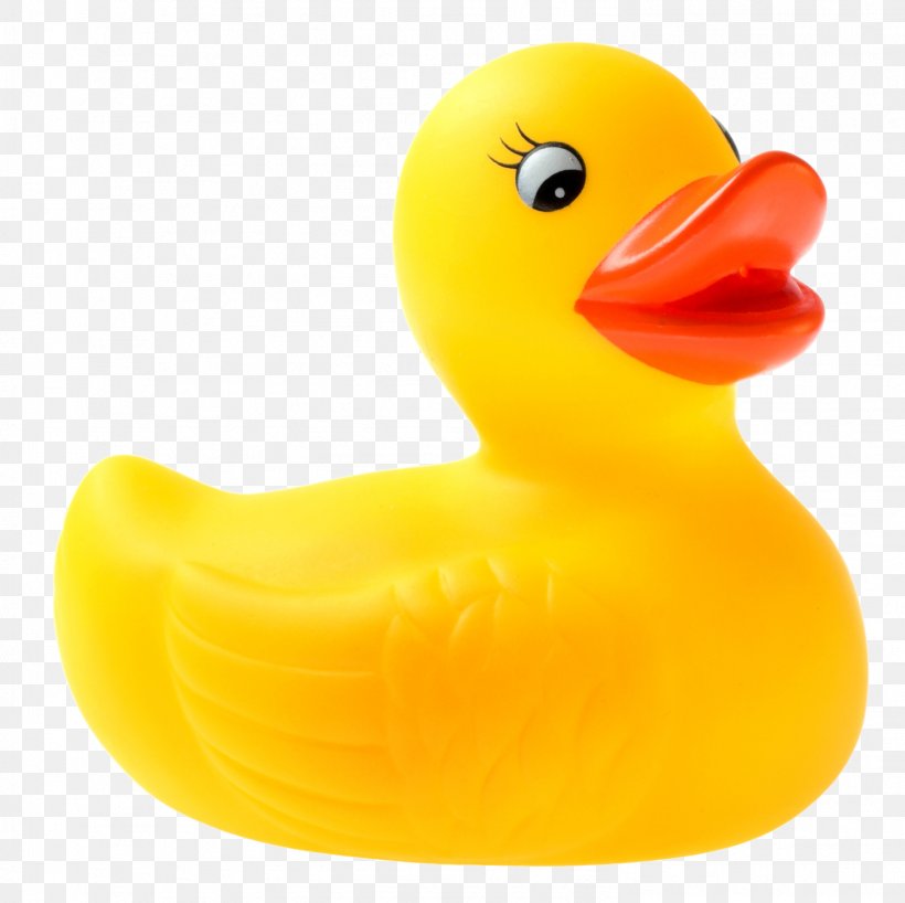 Rubber Duck National Toy Hall Of Fame Natural Rubber Clip Art, PNG, 1494x1491px, Duck, Beak, Bird, Child, Ducks Geese And Swans Download Free