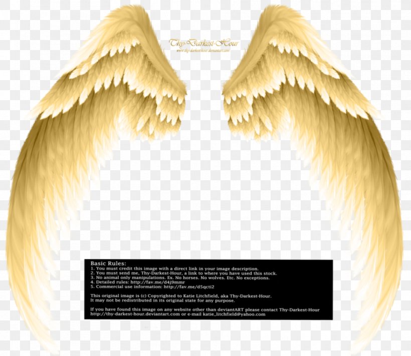 Angel Clip Art, PNG, 959x832px, Angel, Eyelash, Feather, Free Content, Hair Coloring Download Free