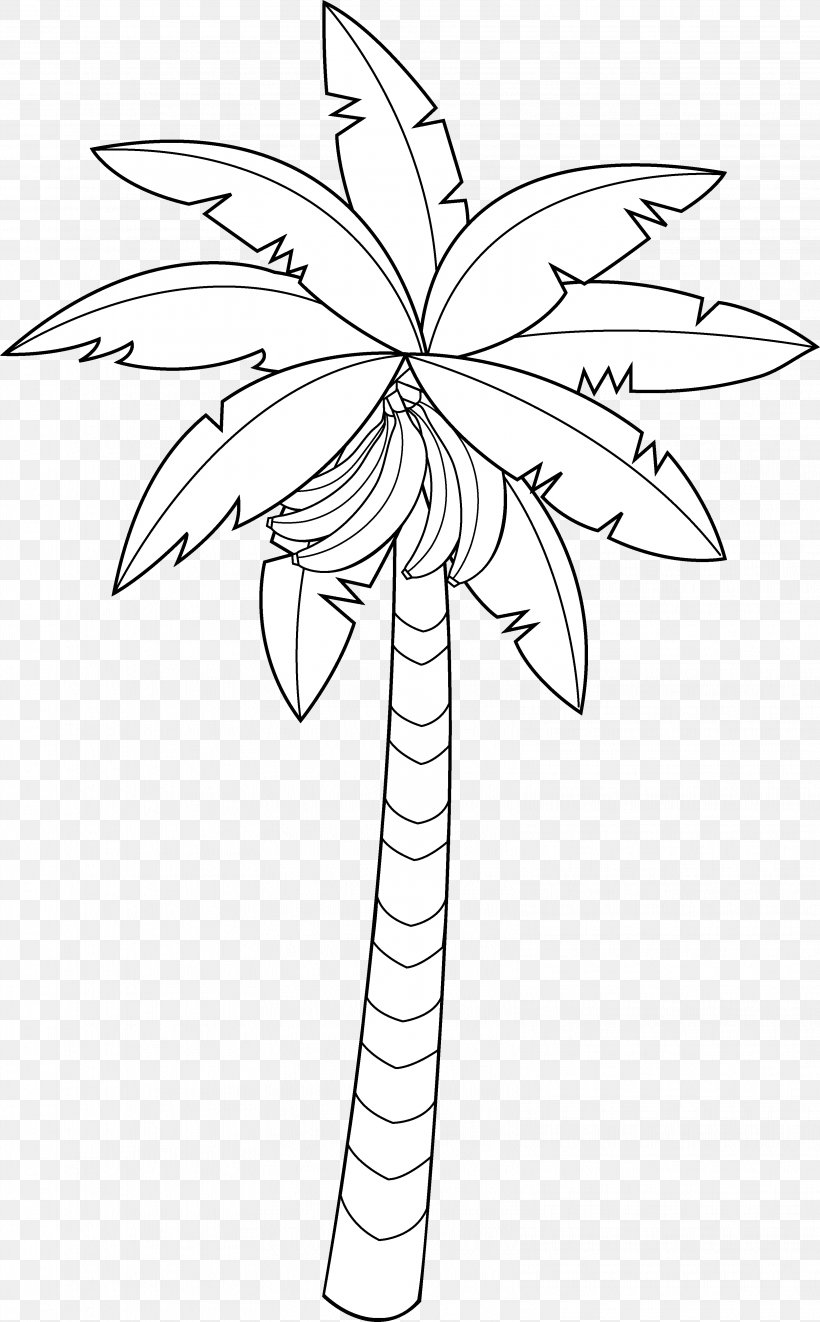 Banana Drawing Coloring Book Tree Clip Art, PNG, 3241x5226px, Banana, Area, Artwork, Black And White, Branch Download Free
