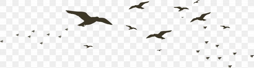 Beak Black And White Technology Pattern, PNG, 3681x1001px, Bird, Animal, Beak, Black, Black And White Download Free