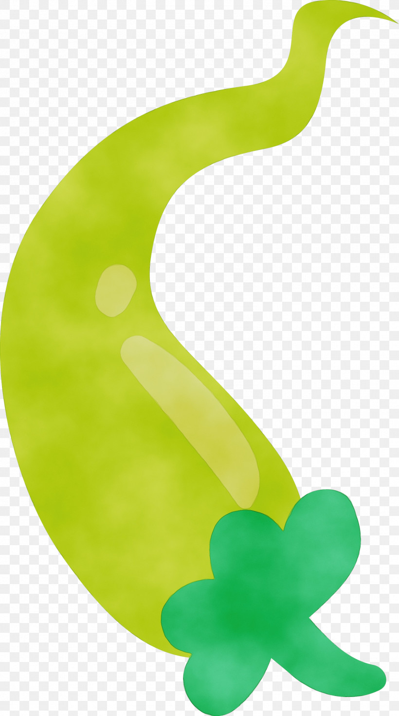 Leaf Green Symbol Plants Biology, PNG, 1576x2829px, Watercolor, Biology, Green, Leaf, Paint Download Free