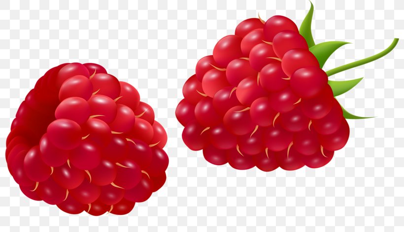 Red Raspberry Auglis Cartoon, PNG, 800x472px, Raspberry, Accessory Fruit, Aedmaasikas, Auglis, Berry Download Free