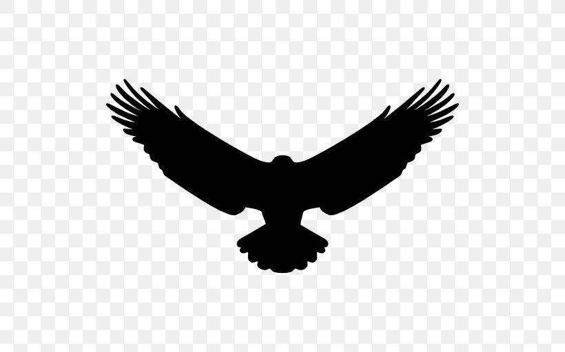 Bird Eagle, PNG, 512x512px, Bird, Accipitriformes, Beak, Bird Of Prey, Black And White Download Free