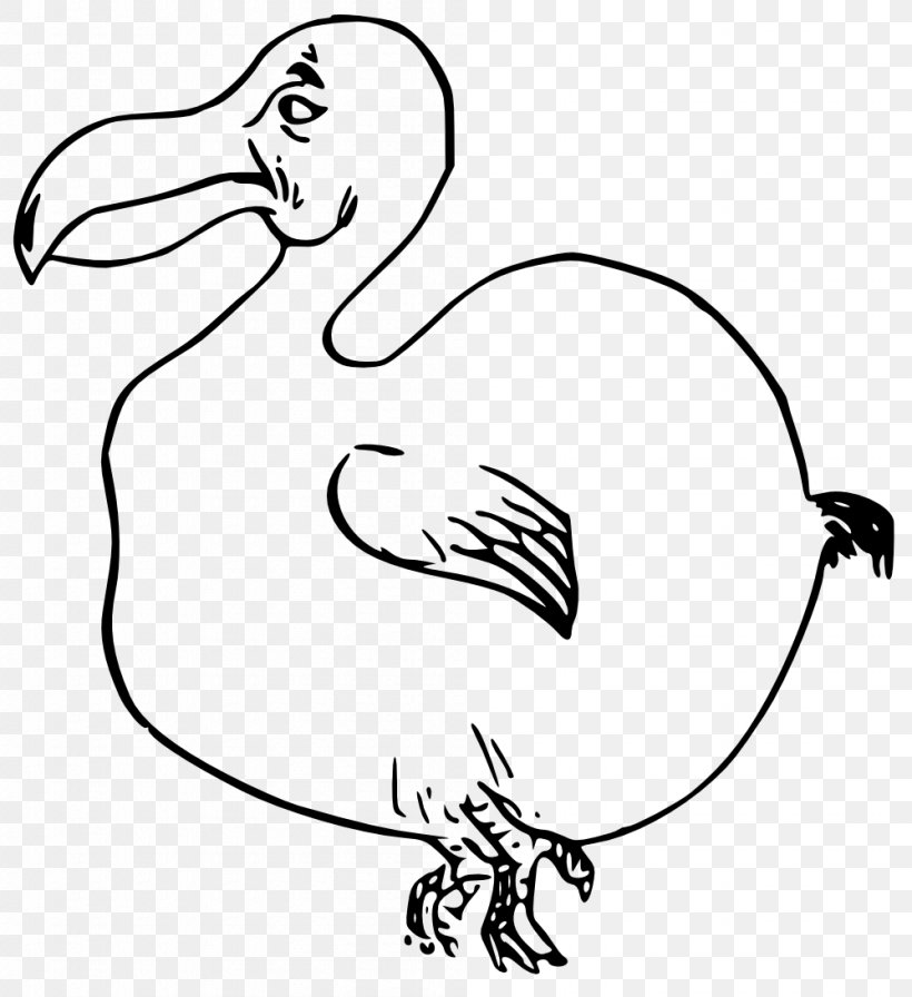 Bird Dodo Clip Art, PNG, 999x1092px, Watercolor, Cartoon, Flower, Frame, Heart Download Free