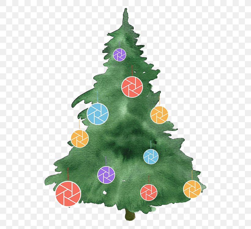 Christmas Tree Photography Watercolor Painting, PNG, 534x750px, Christmas Tree, Brush, Camera, Christmas, Christmas Decoration Download Free