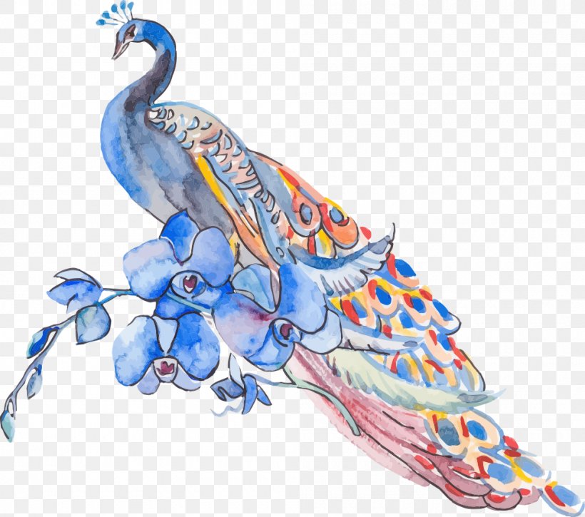 Peafowl Feather Illustration, PNG, 1000x885px, Peafowl, Art, Asiatic Peafowl, Beak, Bird Download Free