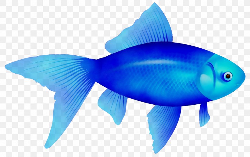 Clip Art Transparency Image Fish, PNG, 2032x1280px, Fish, Blue, Bluefish, Bonyfish, Electric Blue Download Free