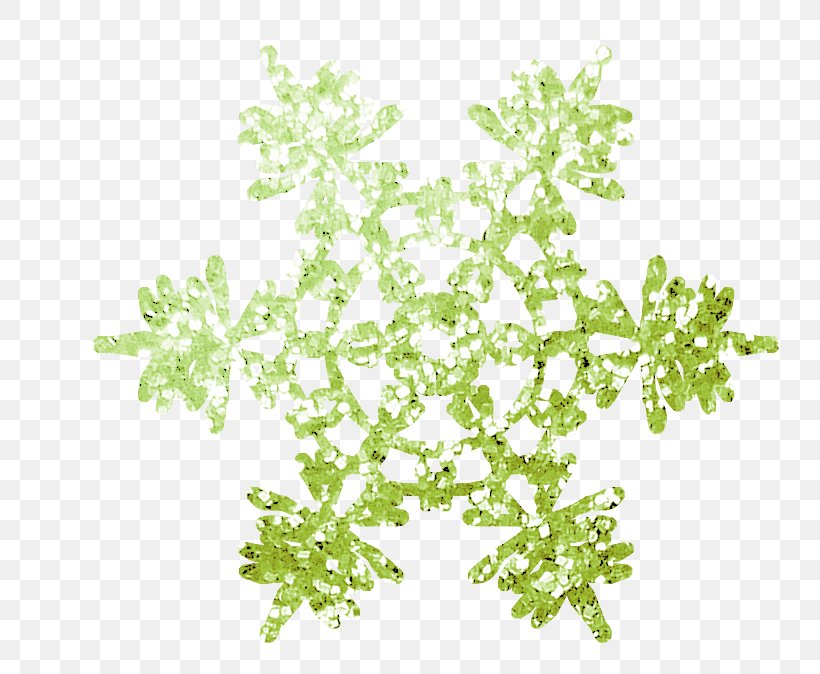Snowflake Image, PNG, 800x674px, Snowflake, Branch, Christmas Day, Flower, Flowering Plant Download Free