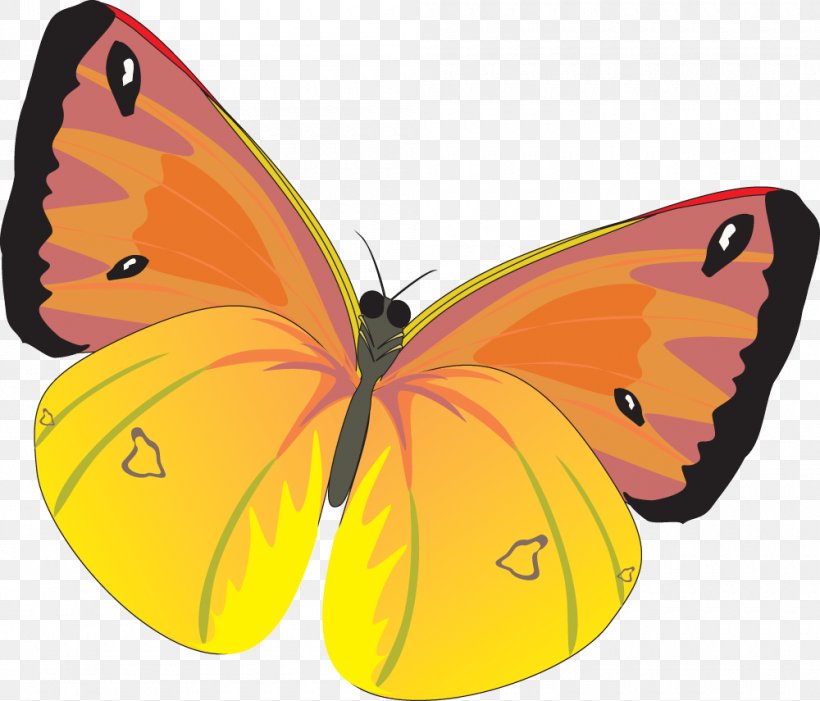Butterfly Clip Art, PNG, 1000x855px, Butterfly, Arthropod, Brush Footed Butterfly, Butterflies And Moths, Clipping Path Download Free