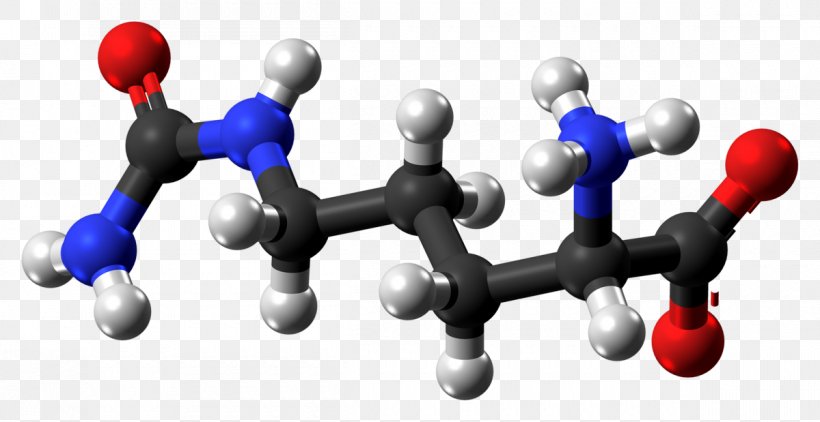 Citrulline Arginine Nitric Oxide Synthase Ball-and-stick Model Carbamoyl Phosphate, PNG, 1200x619px, Citrulline, Agmatine, Amino Acid, Arginine, Aspartic Acid Download Free