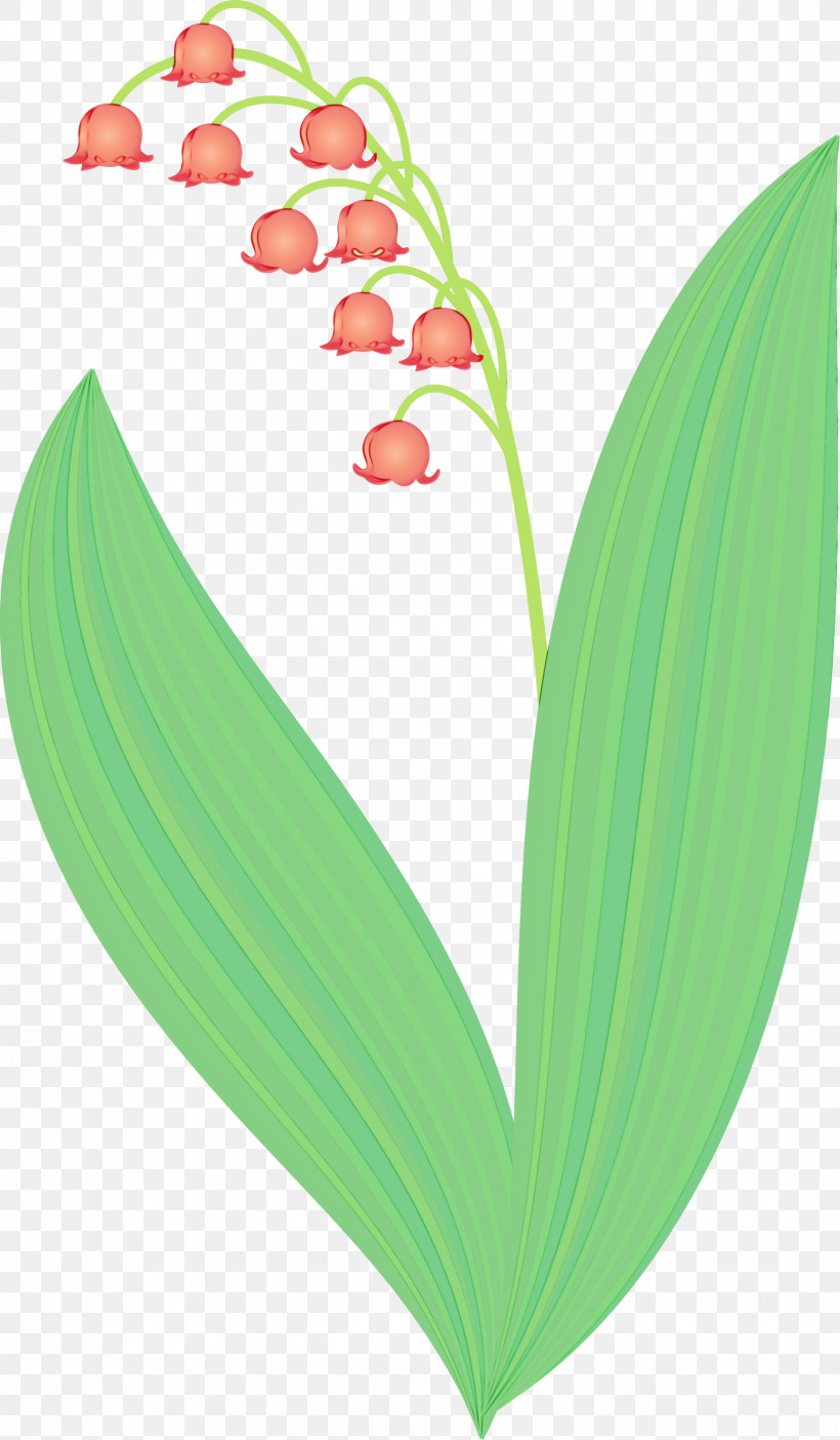 Lily Of The Valley Flower Leaf Plant Heart, PNG, 1752x3000px, Lily Bell, Flower, Heart, Leaf, Lily Of The Valley Download Free