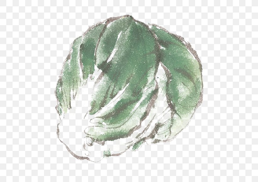 Vegetable Napa Cabbage Clip Art, PNG, 600x579px, Vegetable, Green, Leaf, Napa Cabbage Download Free