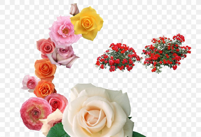 Beach Rose Garden Roses Centifolia Roses Flower, PNG, 1024x701px, Beach Rose, Artificial Flower, Centifolia Roses, Cut Flowers, Floral Design Download Free