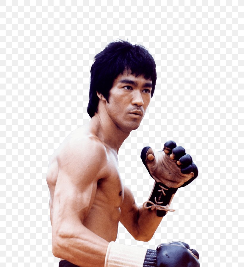 Bruce Lee Clip Art, PNG, 717x895px, Watercolor, Cartoon, Flower, Frame, Heart Download Free