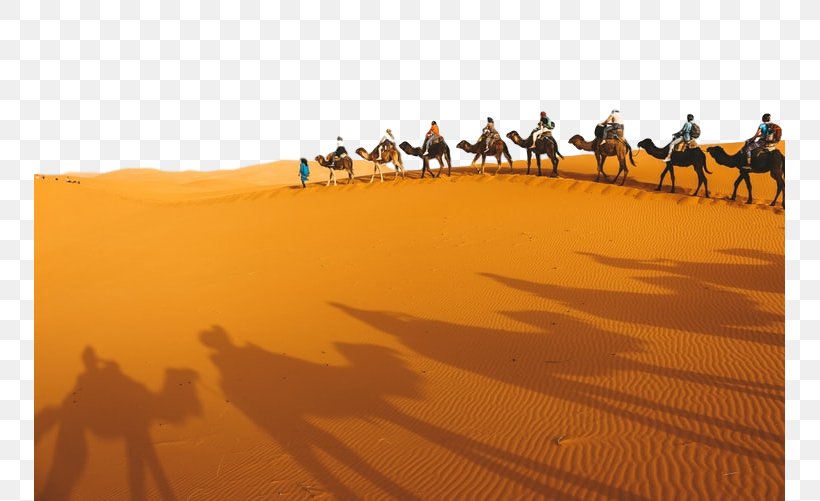 Desert Camel Sahara Natural Environment Sand, PNG, 751x501px, Desert, Aeolian Landform, Arabian Camel, Camel, Dune Download Free