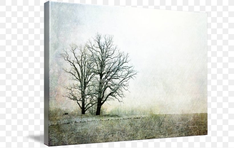 Painting Picture Frames Winter Sky Plc Branching, PNG, 650x521px, Painting, Branch, Branching, Fog, Grass Download Free