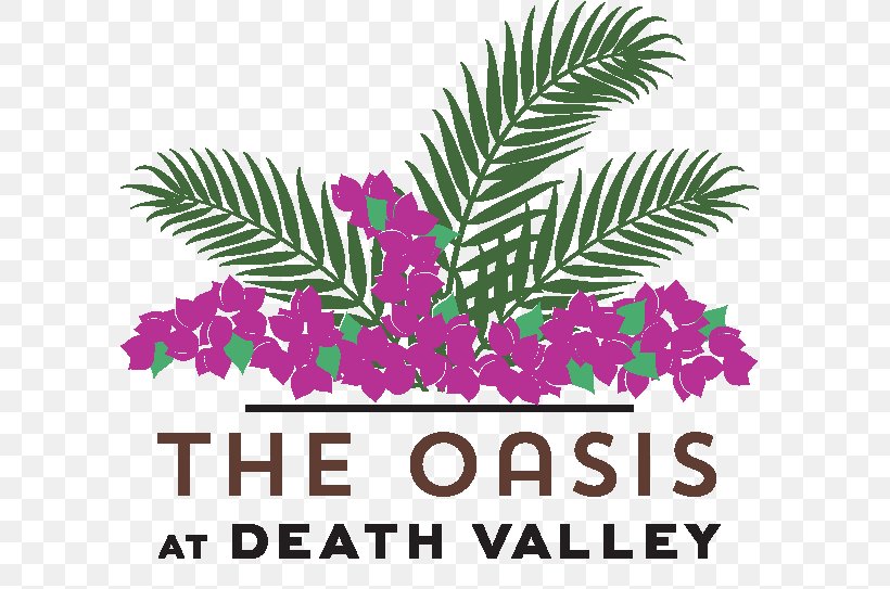 The Oasis At Death Valley Furnace Creek National Park Resort, PNG, 624x543px, National Park, Accommodation, Arecales, Death Valley, Death Valley National Park Download Free