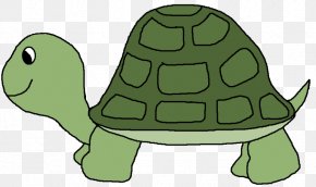 Clip Art Turtle Vector Graphics Image, PNG, 1024x1024px, Turtle, Box ...