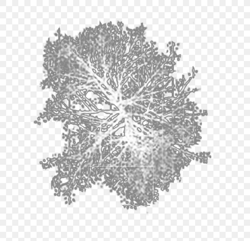 Unidentified Flying Object Flowering Plant Symmetry Superior Technical School Of Architecture Of Madrid Pattern, PNG, 611x790px, Unidentified Flying Object, Black And White, Flower, Flowering Plant, Leaf Download Free