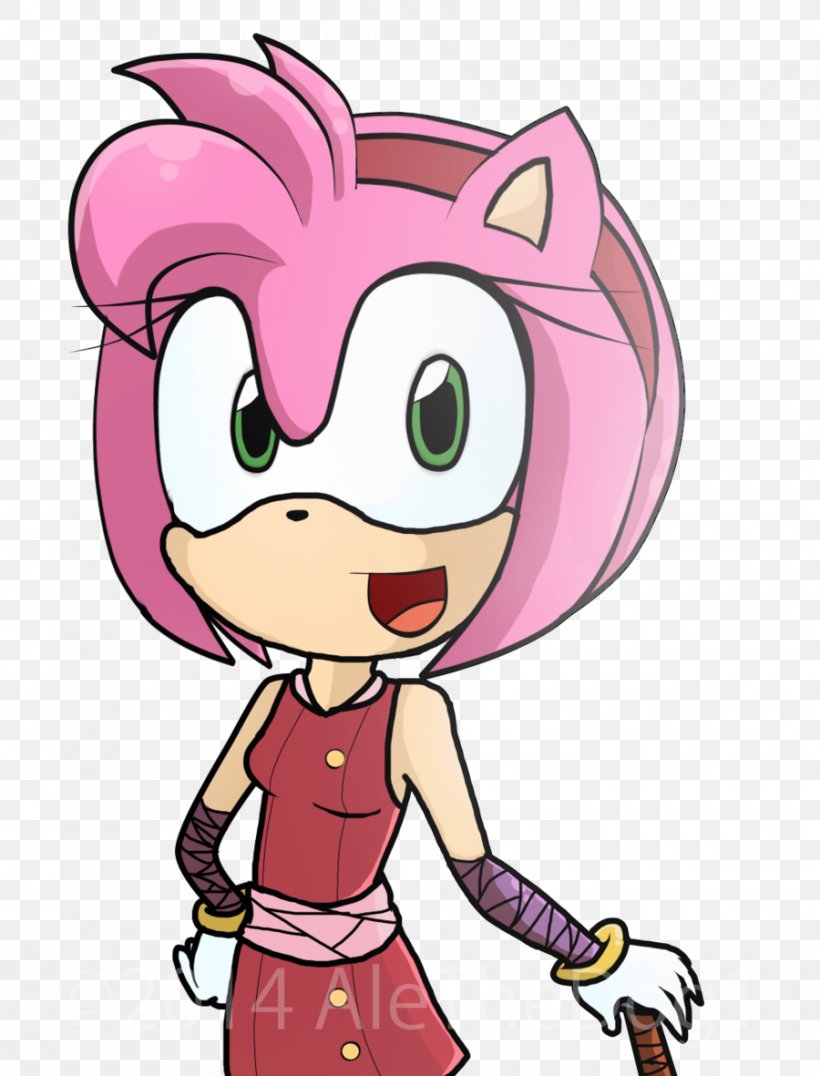 Amy Rose Sonic Riders: Zero Gravity Shadow The Hedgehog Metal Sonic, PNG, 900x1181px, Watercolor, Cartoon, Flower, Frame, Heart Download Free