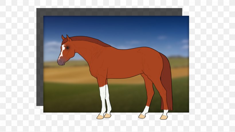 Mustang Stallion Foal Colt Mare, PNG, 1024x576px, Mustang, Bridle, Cartoon, Colt, Foal Download Free
