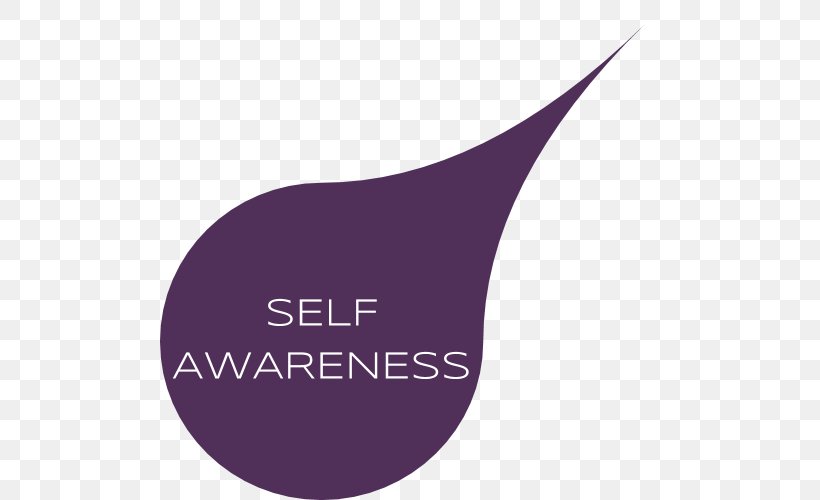 Self-awareness Need Art Flow, PNG, 500x500px, Awareness, Art, Authentic Happiness, Behavior, Brand Download Free