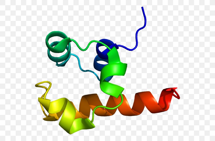 TP63 P53 P63 P73 Family Protein Gene, PNG, 604x540px, Protein, Angiogenin, Area, Artwork, Biochemistry Download Free
