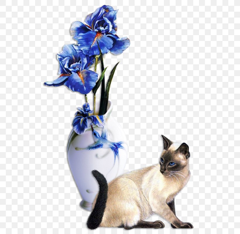 Flower Vase Rose Clip Art, PNG, 531x800px, Flower, Blue, Blue Rose, Cat, Cat Like Mammal Download Free