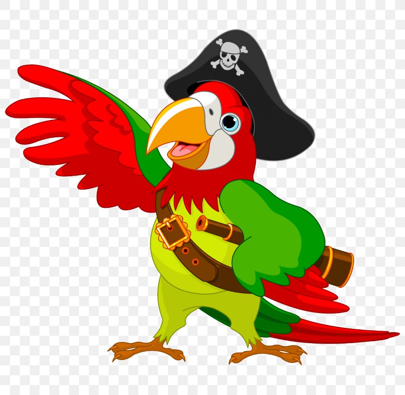 Pirate Parrot Piracy Clip Art, PNG, 800x800px, Parrot, Animal Figure, Art, Beak, Bird Download Free