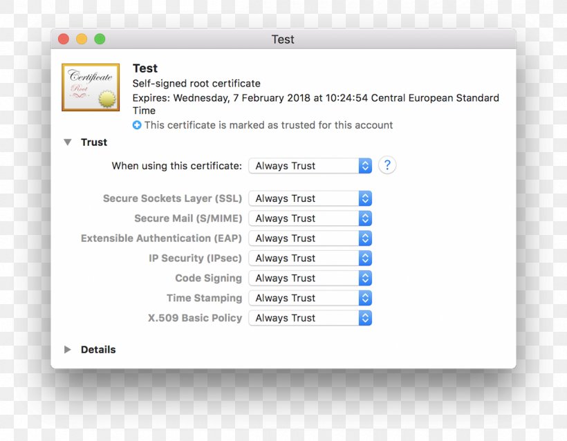 Self-signed Certificate Transport Layer Security Public Key Certificate MacOS HTTPS, PNG, 1200x935px, Selfsigned Certificate, Area, Brand, Computer, Computer Program Download Free