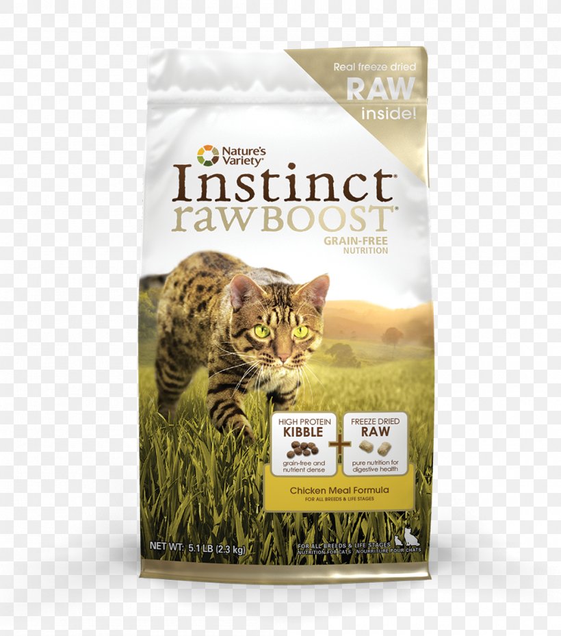 Cat Food Raw Foodism Bambino Sphynx Cat Kitten, PNG, 1000x1133px, Cat Food, Bambino, Carnivoran, Cat, Cat Like Mammal Download Free