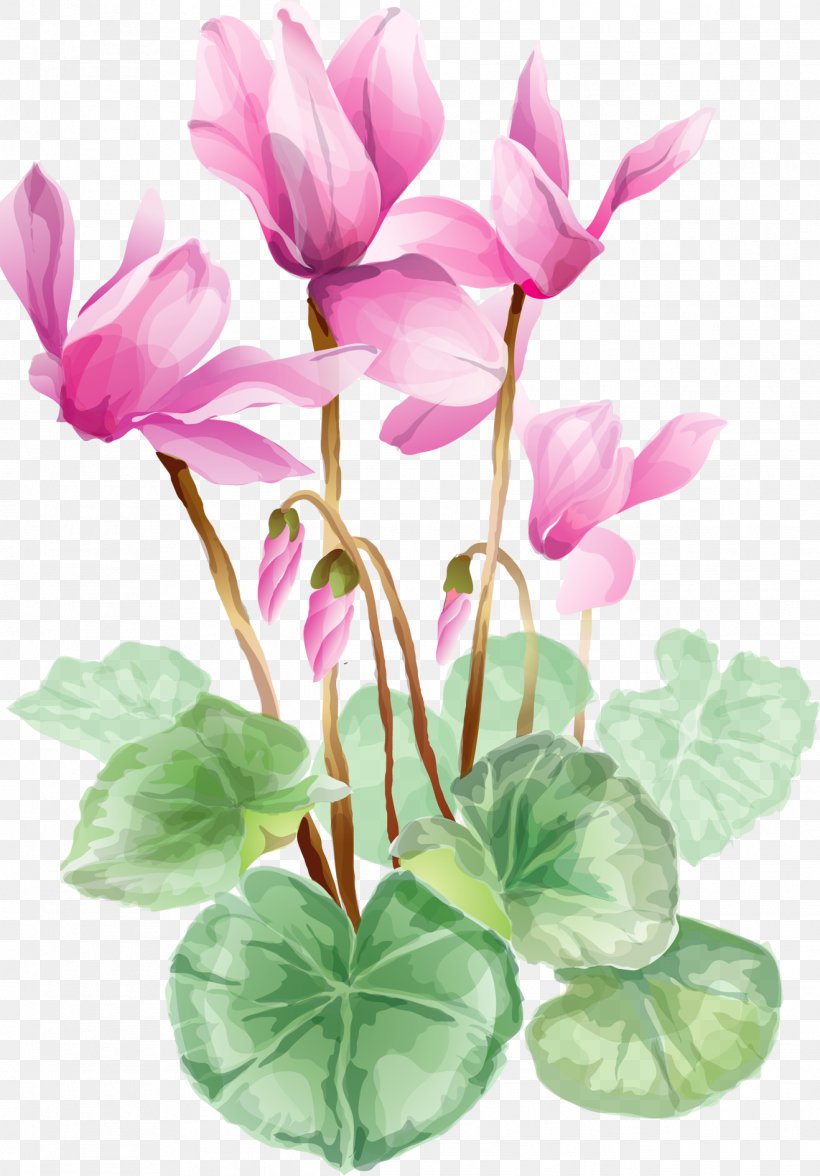 Flower Clip Art, PNG, 1318x1891px, Flower, Art, Blog, Cut Flowers, Cyclamen Download Free