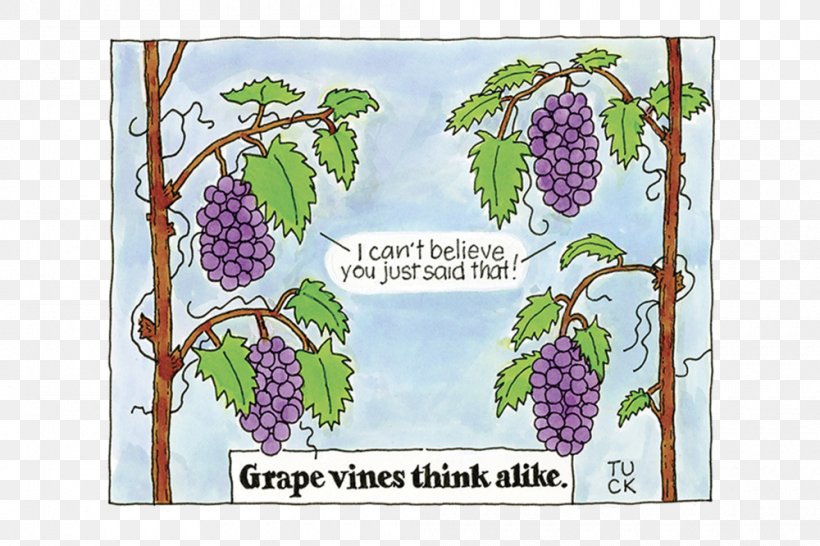 Grapevine Cartoon .com Drawing, PNG, 1000x666px, Grape, Cartoon, Com, Company, Drawing Download Free