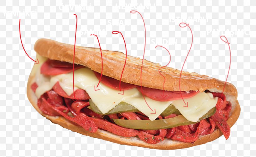 Hot Dog American Cuisine Junk Food Ham And Cheese Sandwich Sausage, PNG, 954x586px, Hot Dog, American Cuisine, American Food, Dog, Fast Food Download Free