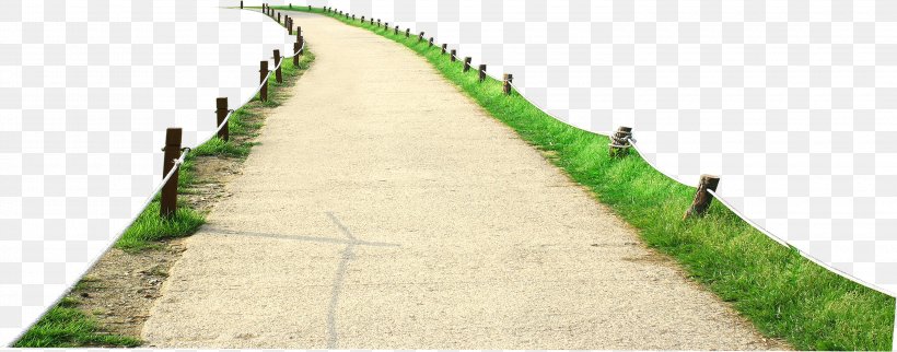 Road Surface Clip Art, PNG, 3000x1181px, Road, Area, Ecosystem, Grass, Grass Family Download Free