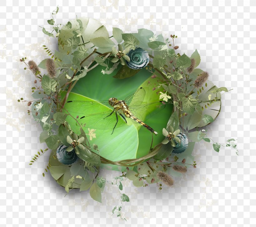 Wreath Herb, PNG, 1600x1423px, Wreath, Herb, Insect Download Free