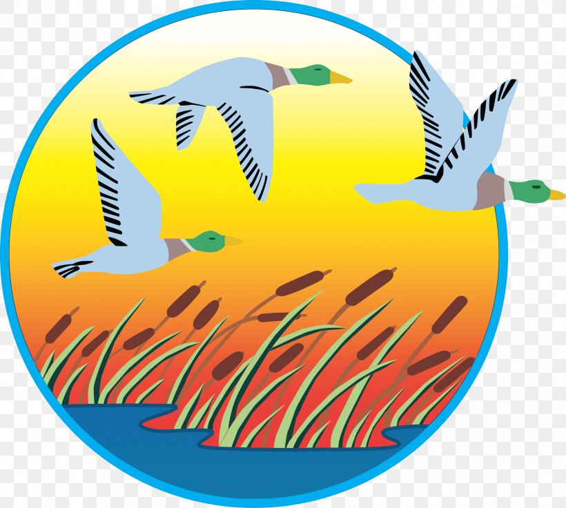 Clip Art Swans Logo Illustration Image, PNG, 3299x2962px, Swans, Bird, Charadriiformes, Duck, Ducks Geese And Swans Download Free