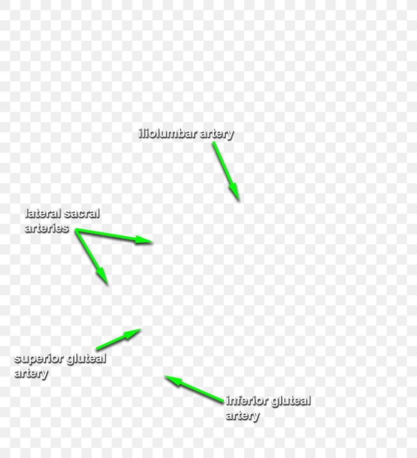 Brand Diagram Line, PNG, 810x900px, Brand, Diagram, Grass, Green, Text Download Free