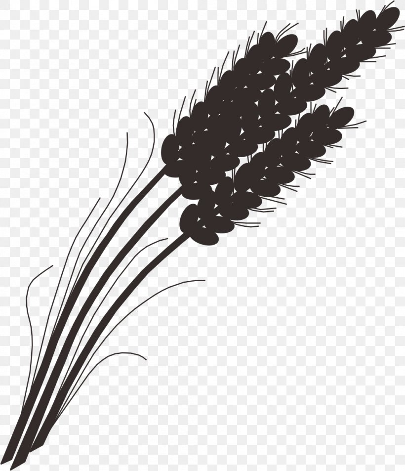 Rice Gadu Barley Wheat Paddy Field, PNG, 1052x1223px, Rice Gadu, Barley, Black And White, Cereal, Feather Download Free