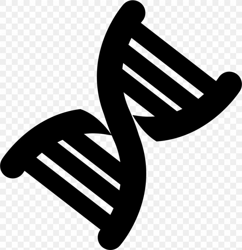 Nucleic Acid Double Helix DNA Clip Art, PNG, 948x981px, Nucleic Acid Double Helix, Black And White, Dna, Gene, Genetics Download Free