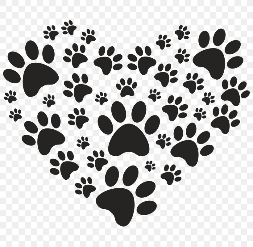 Puppy Cat Airedale Terrier Paw Kitten, PNG, 800x800px, Puppy, Airedale Terrier, Animal, Black, Black And White Download Free