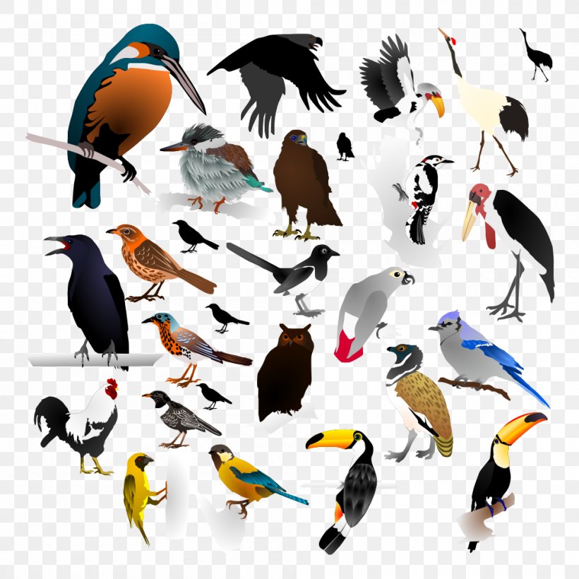 The Birds, PNG, 1000x1000px, Bird, Beak, Crows, Drawing, Fauna Download Free