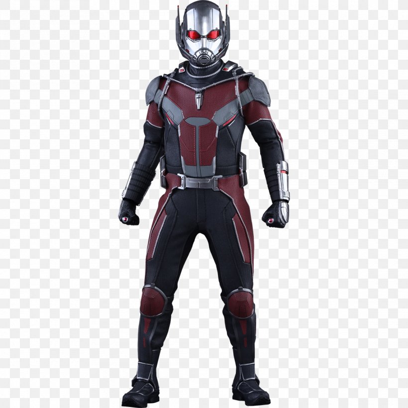 Ant-Man Hank Pym Captain America Iron Man Hot Toys Limited, PNG, 1140x1140px, 16 Scale Modeling, Antman, Action Figure, Avengers, Captain America Download Free