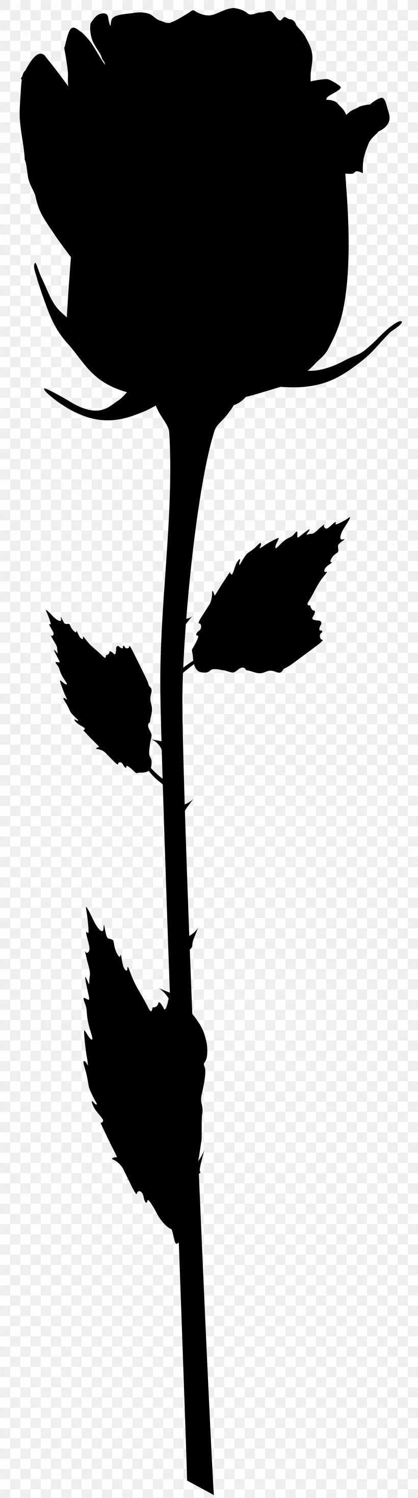 Bird Flower Plant Stem Beak Leaf, PNG, 2233x8000px, Bird, Beak, Blackandwhite, Botany, Branching Download Free