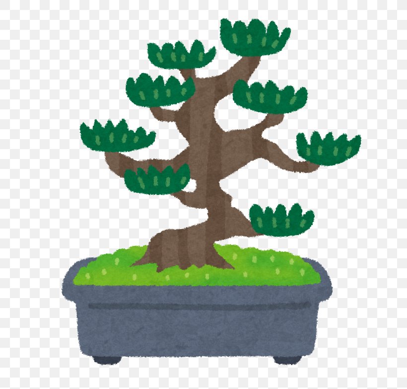 Bonsai 寄せ植え Pruning Pine 鉢, PNG, 741x783px, Bonsai, Antler, Branch, Flowerpot, Houseplant Download Free