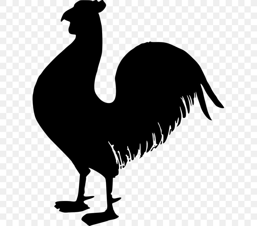 Chicken Rooster Clip Art, PNG, 611x720px, Chicken, Artwork, Beak, Bird, Black And White Download Free
