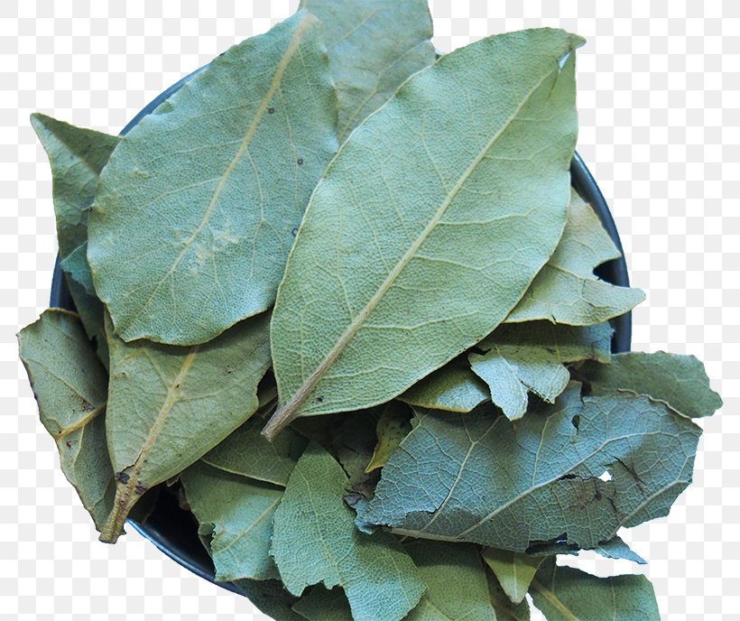 Mediterranean Cuisine Bay Leaf Herb Spice Bay Laurel, PNG, 800x688px, Mediterranean Cuisine, Bay Laurel, Bay Leaf, Cooking, Cuisine Download Free