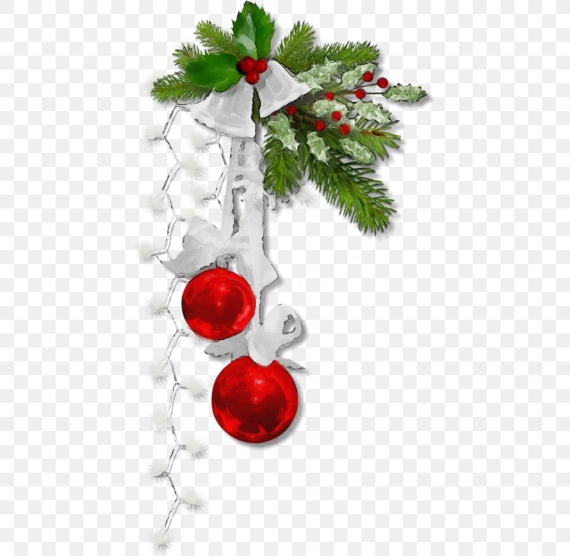 Christmas Ornament, PNG, 433x800px, Watercolor, Branch, Christmas, Christmas Decoration, Christmas Ornament Download Free