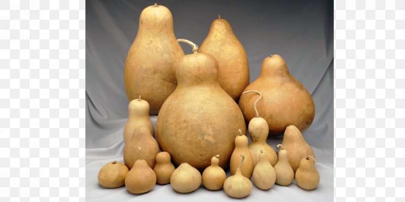 Gourd Mate Pumpkin Cucurbita Zucchini, PNG, 1200x600px, Gourd, Butternut Squash, Cleaning, Cucurbita, Food Download Free